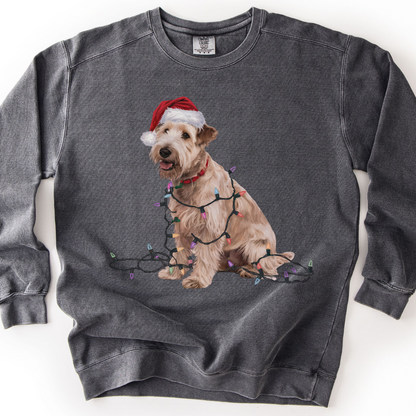 Soft Coated Wheaten Terrier Christmas Lights Sweatshirt, Festive Dog Mom Apparel