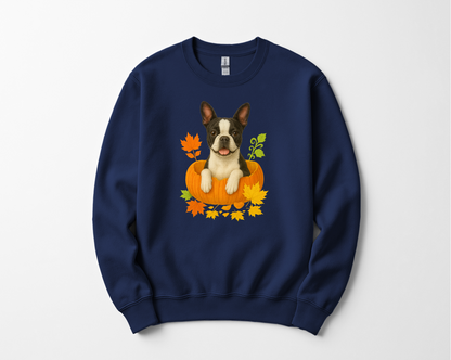 Boston Terrier Pumpkin Shirt