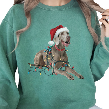 Weimaraner Christmas Lights Sweatshirt, Festive Dog Holiday Apparel