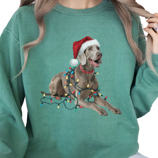 Weimaraner Christmas Lights Sweatshirt, Festive Dog Holiday Apparel
