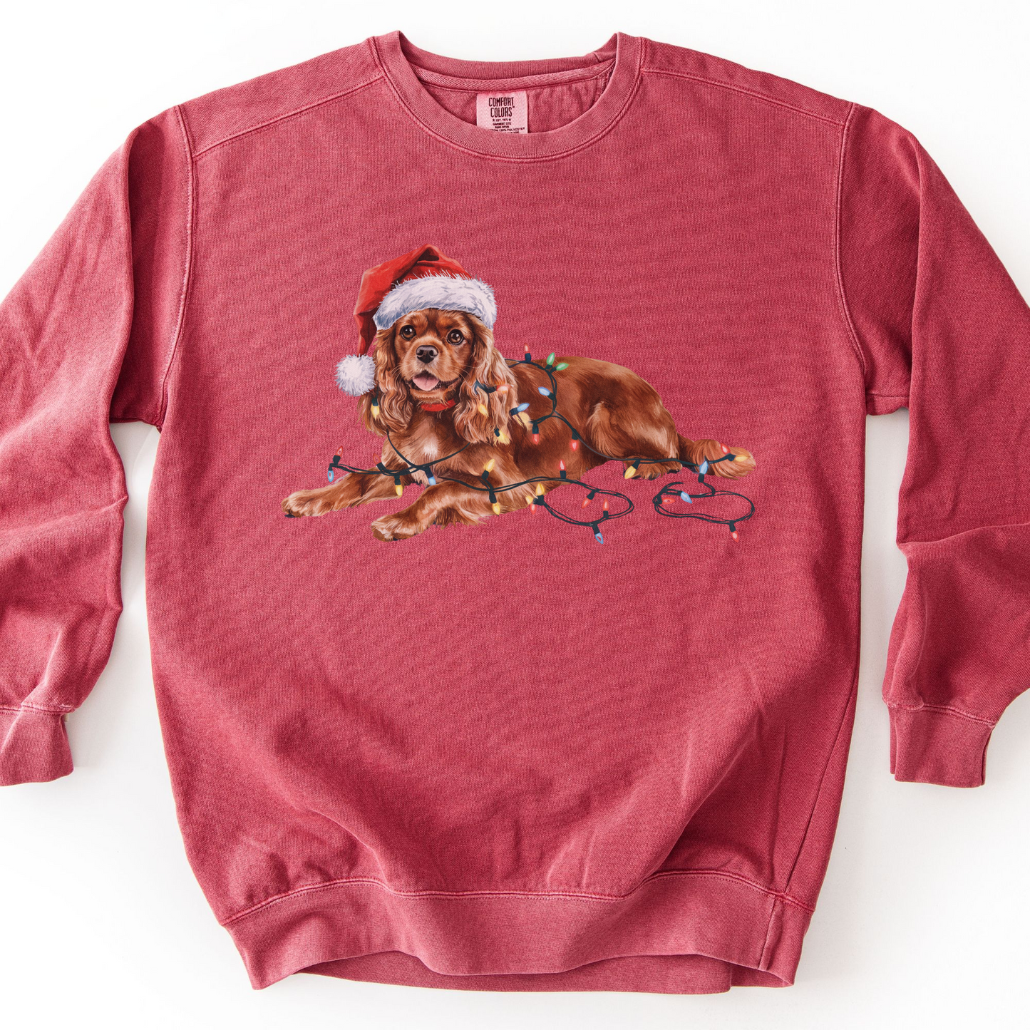 Ruby Cavalier Christmas Lights Sweatshirt