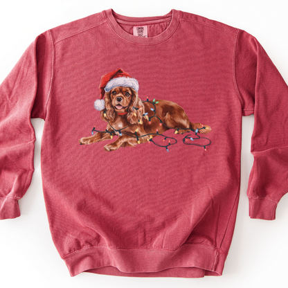 Ruby Cavalier Christmas Lights Sweatshirt