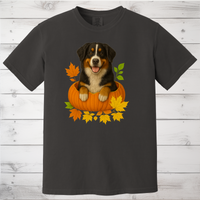 Load image into Gallery viewer, Bernese Mountain Dog Pumpkin Shirt
