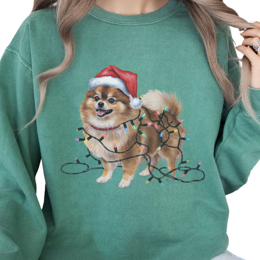 Pomeranian Christmas Lights Sweatshirt, Festive Dog Mom Sweater