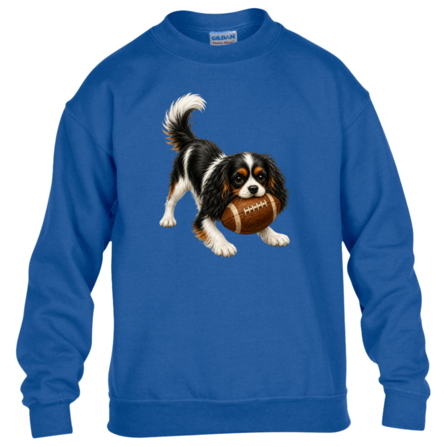 Tricolor Cavalier King Charles Spaniel Football Youth Sweatshirt, Kids Dog Lover Football Crewneck