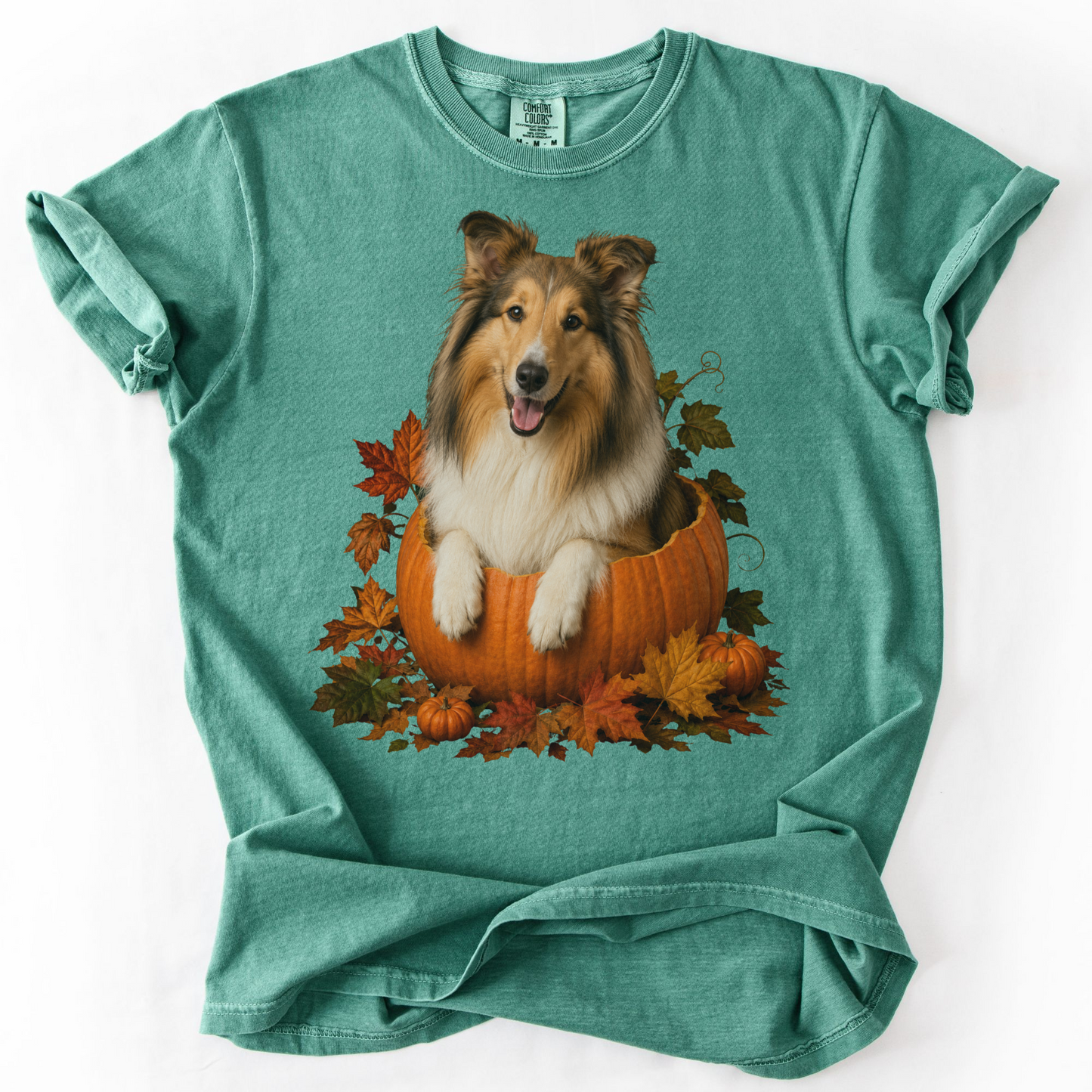 Collie in Pumpkin Fall Shirt, Cute Autumn Dog Tee for Rough Collie Lovers