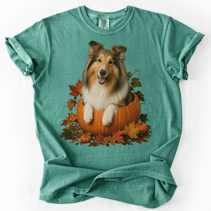 Collie in Pumpkin Fall Shirt, Cute Autumn Dog Tee for Rough Collie Lovers