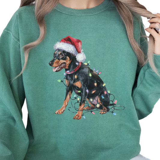Miniature Pinscher Christmas Lights Dog Sweatshirt, Festive Min Pin Mom Apparel