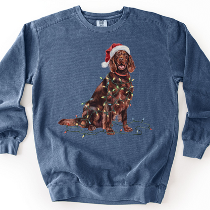 Irish Setter Christmas Lights Sweatshirt