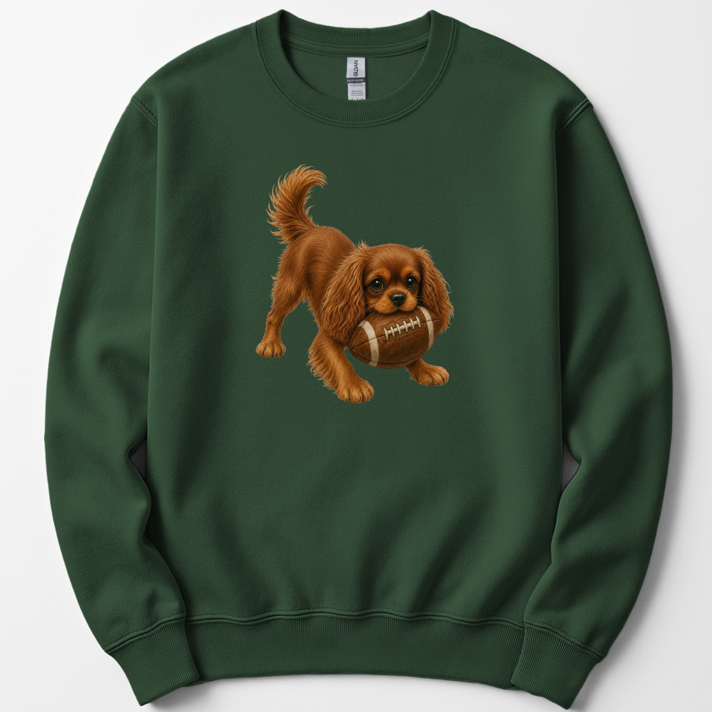 Ruby Cavalier Football Sweatshirt Cute Dog Lover Game Day Crewneck Cavalier Mom Gift