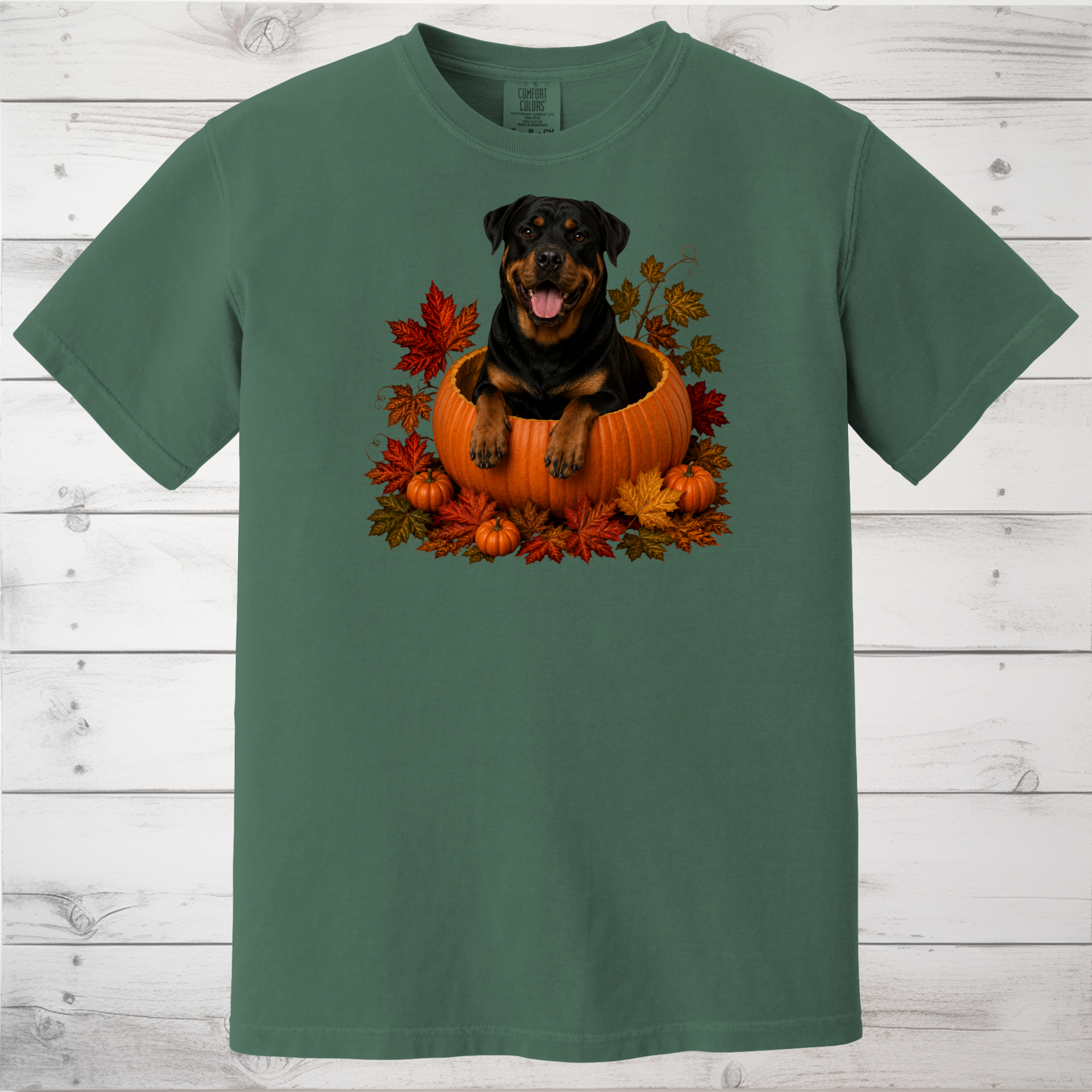 Rottweiler Pumpkin Shirt