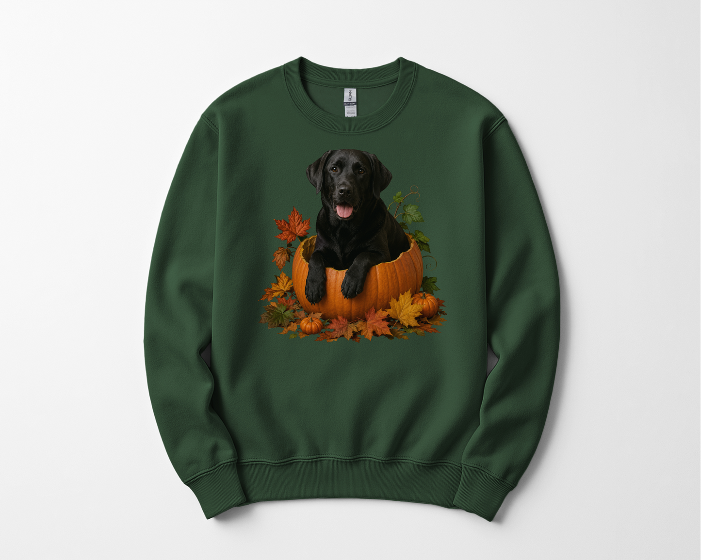 Black Lab Pumpkin Sweatshirt Fall Dog Lover Autumn Labrador Cozy Crewneck Gift Pullover Apparel