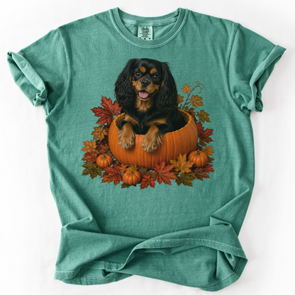 Black and Tan Cavalier Pumpkin Shirt Fall Dog Lover Autumn Comfort Colors Graphic Tee Gift Apparel