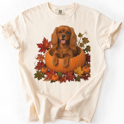 Ruby Cavalier King Charles in Pumpkin Fall Shirt, Cute Autumn Dog Tee for Spaniel Lovers