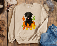 Load image into Gallery viewer, Black Lab in Pumpkin Fall Dog Lover Shirt
