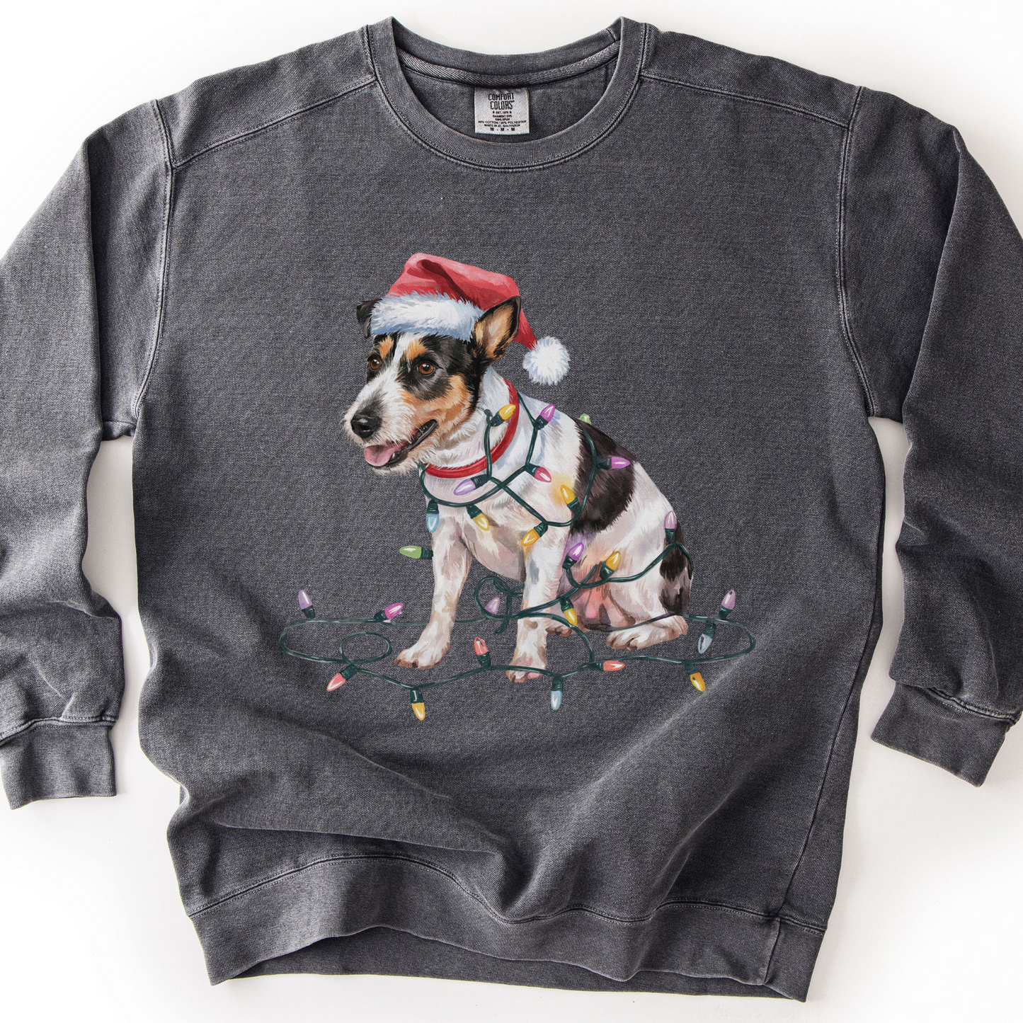 Rat Terrier Christmas Lights Sweatshirt, Festive Dog Lover Apparel