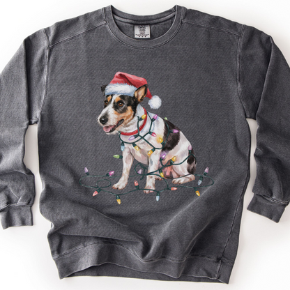 Rat Terrier Christmas Lights Sweatshirt, Festive Dog Lover Apparel