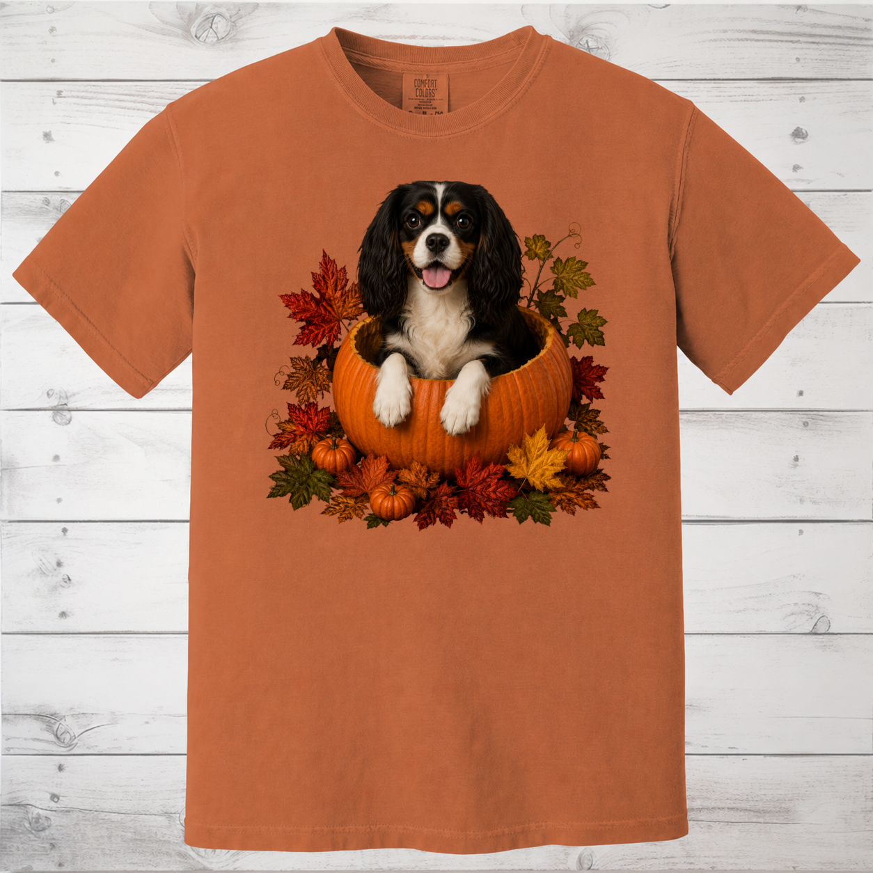 Tricolor Cavalier Pumpkin Shirt