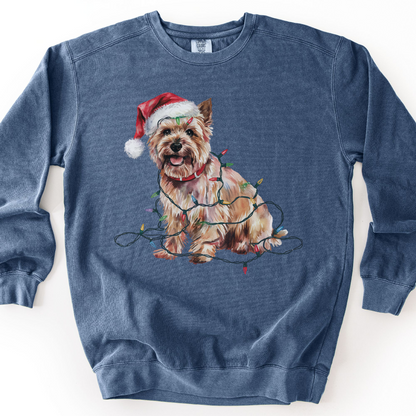Cairn Terrier Christmas Lights Sweatshirt