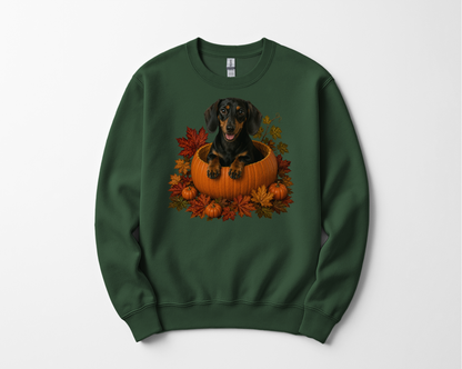 Black and Tan Dachshund Pumpkin Sweatshirt Fall Dog Lover Autumn Puppy Cozy Crewneck Gift Apparel