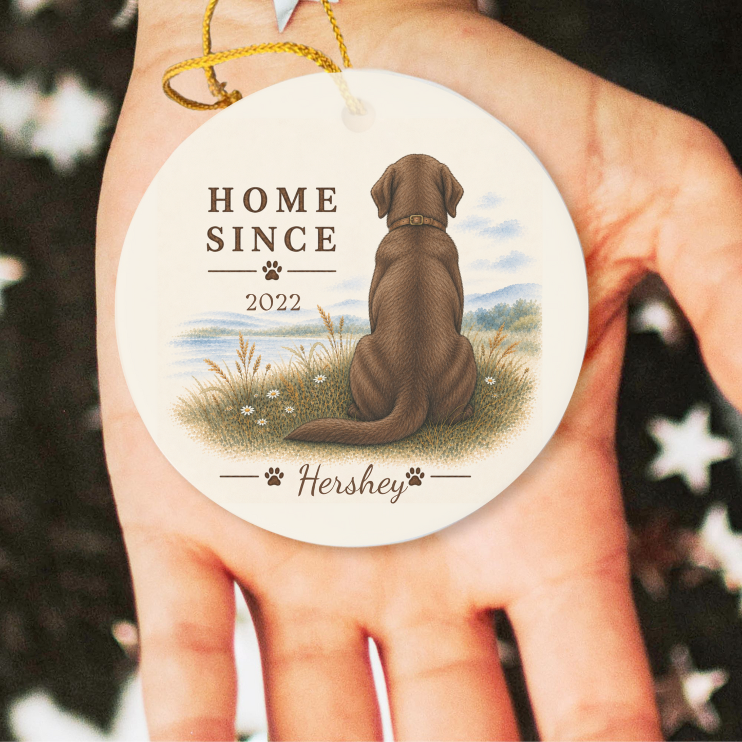 Personalized Chocolate Lab Ornament, Double Sided Labrador Gotcha Day Gift, Custom Dog Keepsake