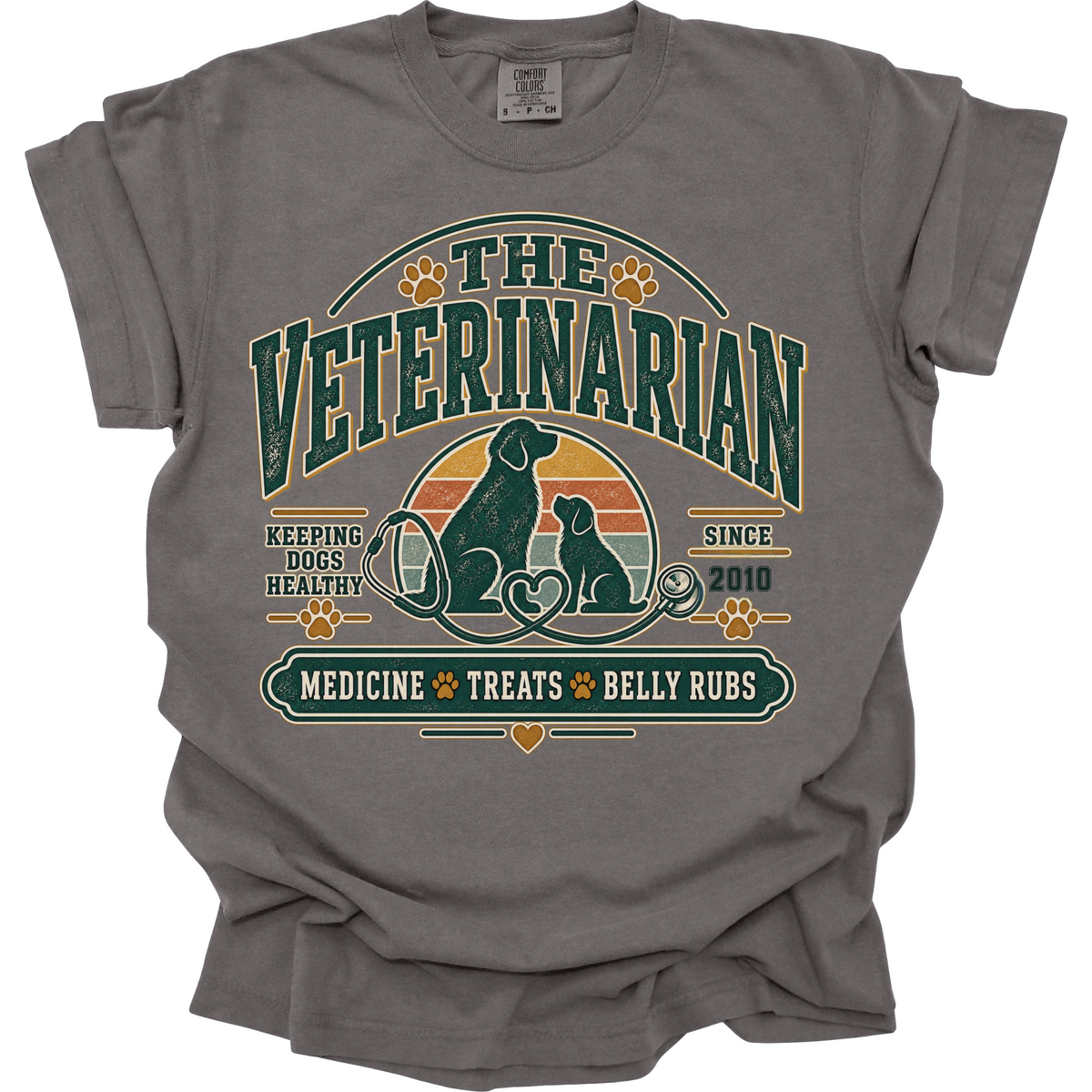 Personalized Veterinarian Shirt, Custom Vet Gift, Veterinary Medicine Tee, Dog Doctor, Vet Graduation Gift