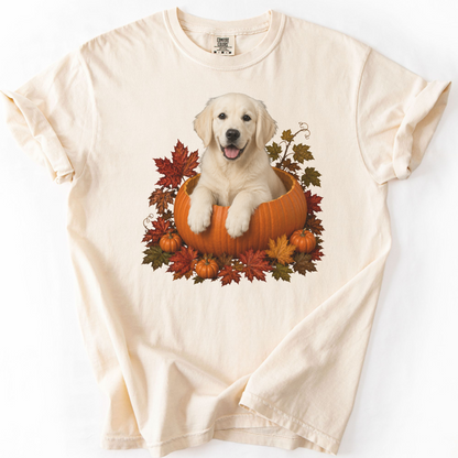 English Cream Golden Retriever Pumpkin Shirt Fall Dog Lover Comfort Colors Tee Gift Apparel
