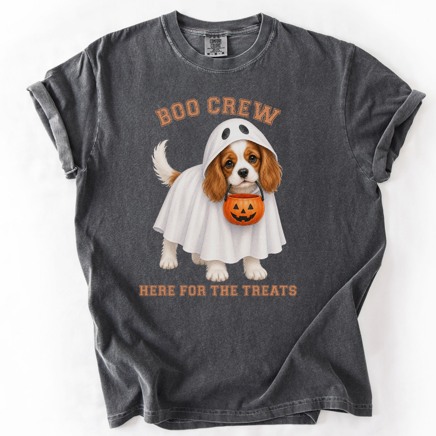 Blenheim Cavalier Boo Crew Halloween Shirt, Here for the Treats Dog Mom Tee