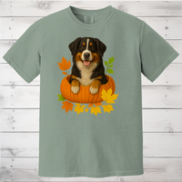 Load image into Gallery viewer, Bernese Mountain Dog Pumpkin Shirt
