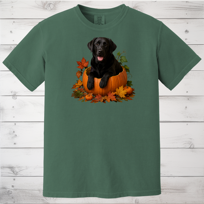 Black Lab Pumpkin Shirt