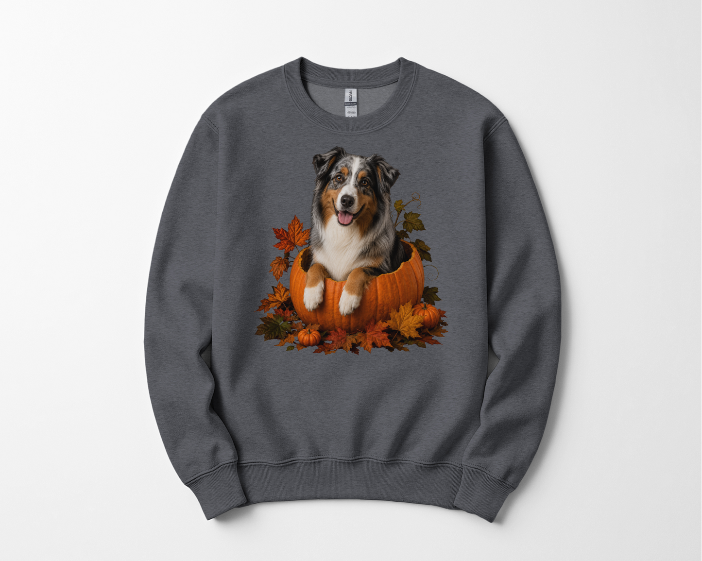 Australian Shepherd Pumpkin Sweatshirt Fall Dog Lover Autumn Puppy Crewneck Cozy Gift Pullover Apparel