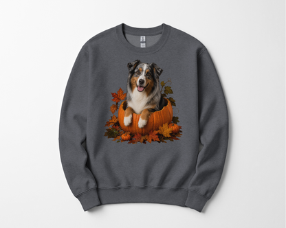 Australian Shepherd Pumpkin Sweatshirt Fall Dog Lover Autumn Puppy Crewneck Cozy Gift Pullover Apparel