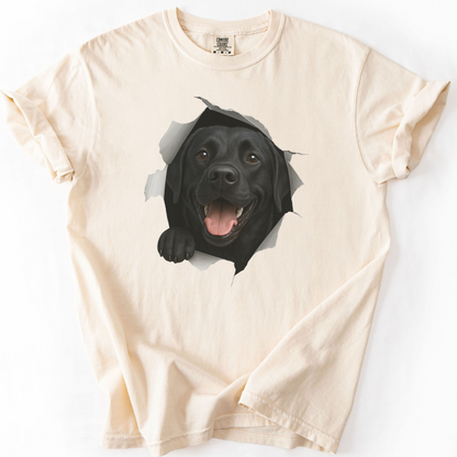 Peeking Labrador T-shirt