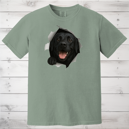 Peeking Labrador Sweatshirt - Use Code FALL15 at checkout for 15% Off.