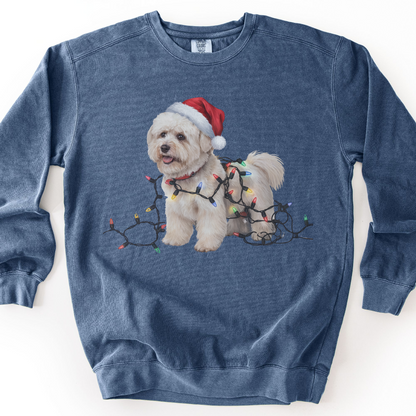 Christmas Bichon Frise Sweatshirt, Holiday Lights Dog Sweater, Bichon Mom Gift