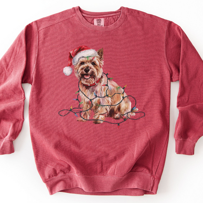 Cairn Terrier Christmas Lights Sweatshirt