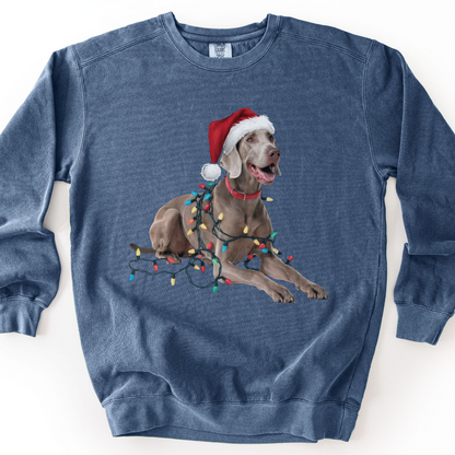 Weimaraner Christmas Lights Sweatshirt, Festive Dog Holiday Apparel
