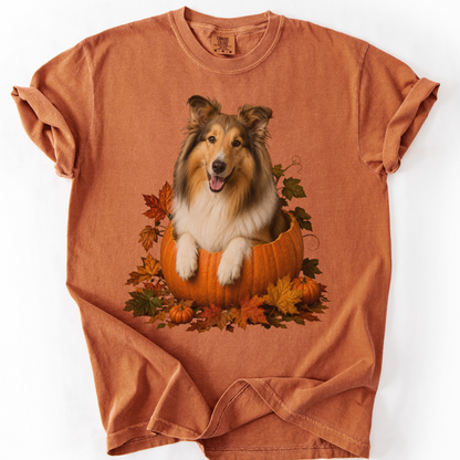 Collie in Pumpkin Fall Shirt, Cute Autumn Dog Tee for Rough Collie Lovers