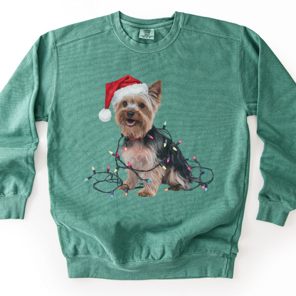 Christmas Yorkshire Terrier Sweatshirt, Festive Dog Lights, Yorkie Mom Holiday Apparel
