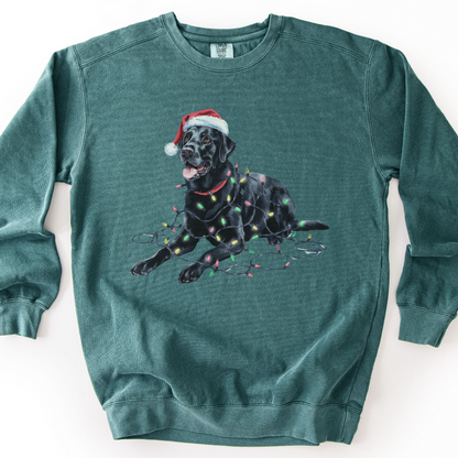 Black Lab Christmas Lights Sweatshirt