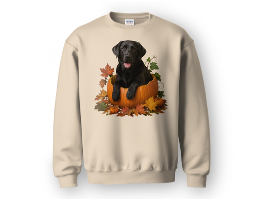 Black Lab Pumpkin Sweatshirt Fall Dog Lover Autumn Labrador Cozy Crewneck Gift Pullover Apparel