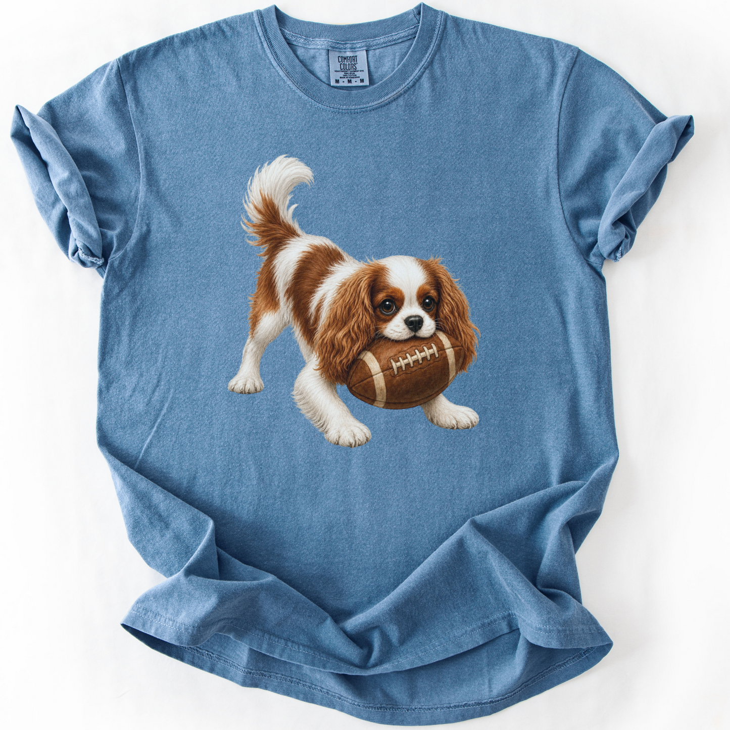 Blenheim Cavalier Football Shirt