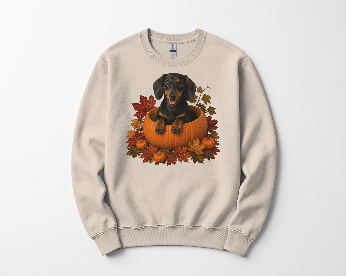 Black and Tan Dachshund Pumpkin Sweatshirt Fall Dog Lover Autumn Puppy Cozy Crewneck Gift Apparel