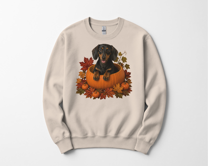 Black and Tan Dachshund Pumpkin Sweatshirt Fall Dog Lover Autumn Puppy Cozy Crewneck Gift Apparel