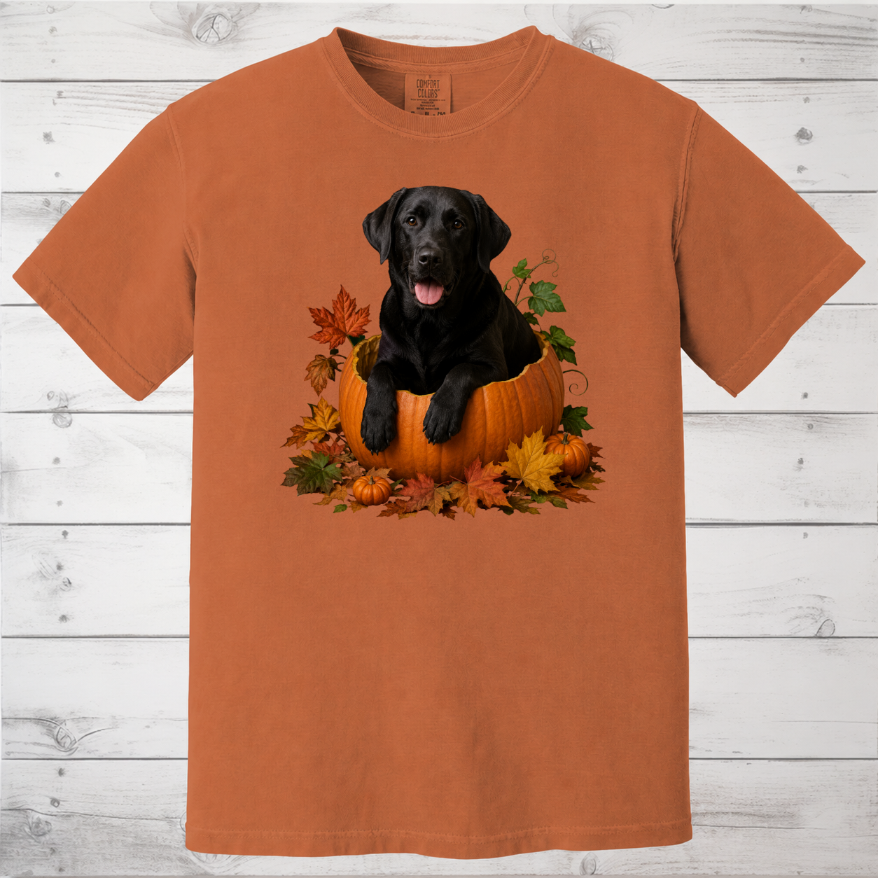 Black Lab Pumpkin Shirt
