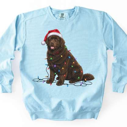 Chocolate Newfoundland Christmas Lights Dog Sweatshirt, Festive Newfie Mom Gift