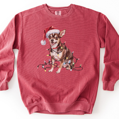 Black Chihuahua Christmas Lights Sweatshirt