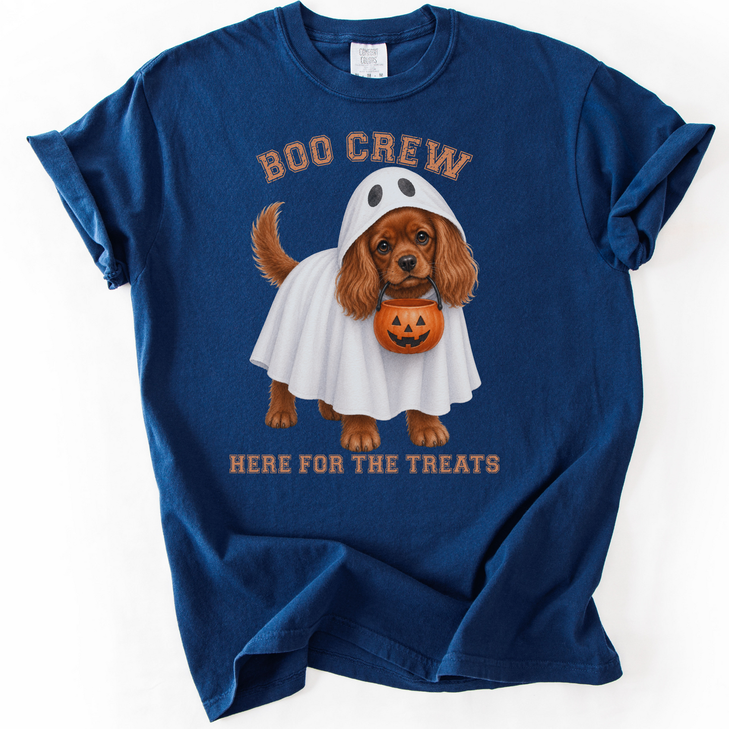 Ruby Cavalier Boo Crew Halloween Shirt, Here for the Treats Dog Mom Tee