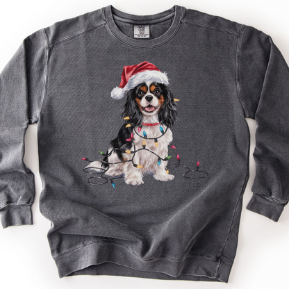 Tri-color Cavalier Christmas Lights Sweatshirt