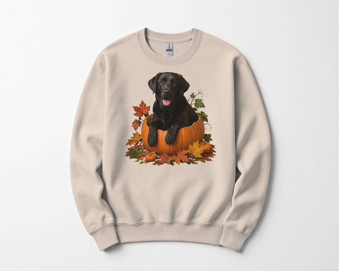Black Lab Pumpkin Sweatshirt Fall Dog Lover Autumn Labrador Cozy Crewneck Gift Pullover Apparel